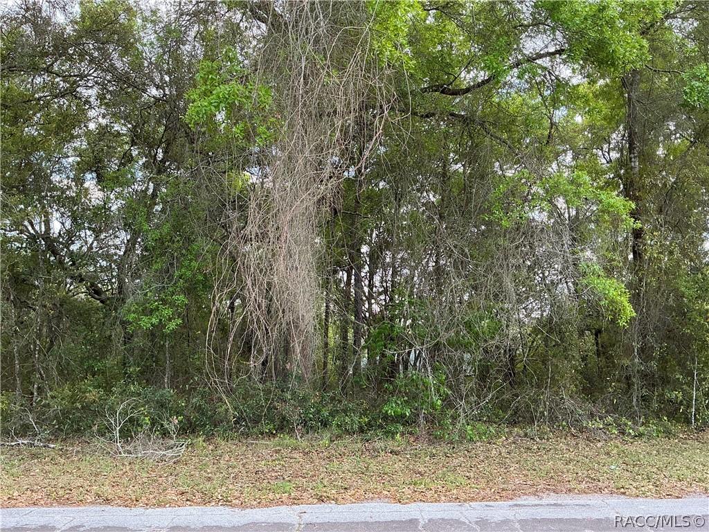 1670 W Beach Plum Dr., Citrus Springs, FL 34434