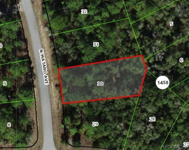 11031 N Mataro Ave., Citrus Springs, FL 34434