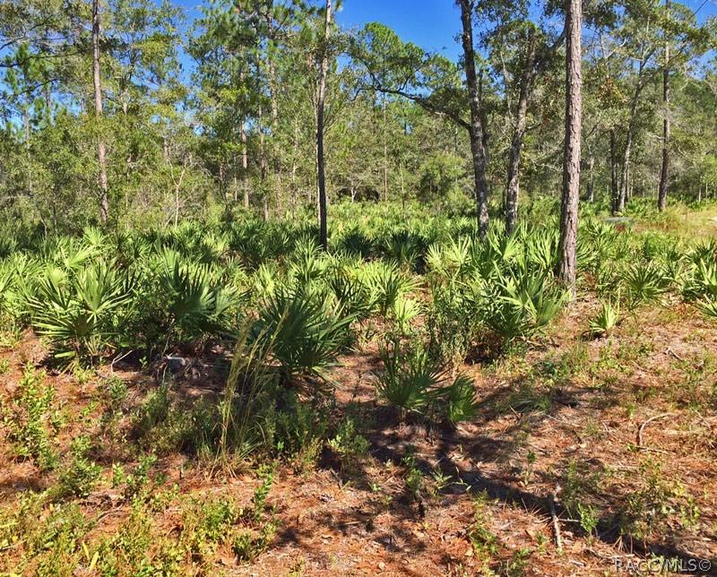 8503 W Freemont St., Homosassa, FL 34448