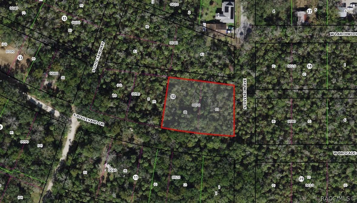 5797 S Boulevard Dr., Homosassa, FL 34448