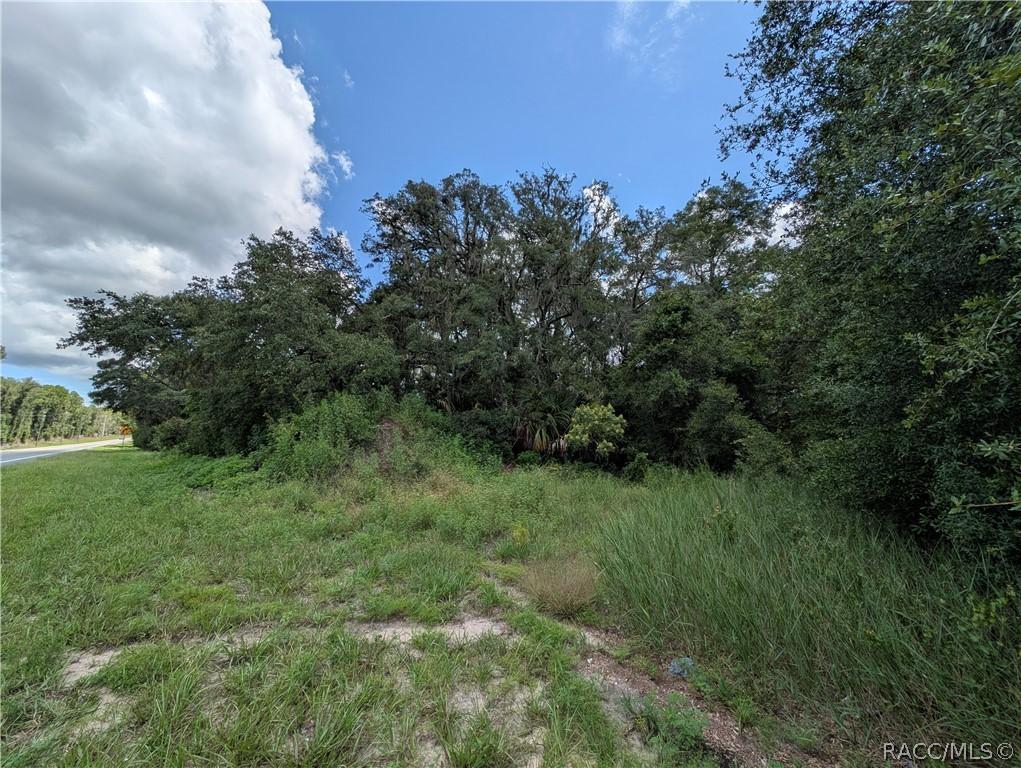 6451 N Carl G Rose Hwy., Hernando, FL 34442