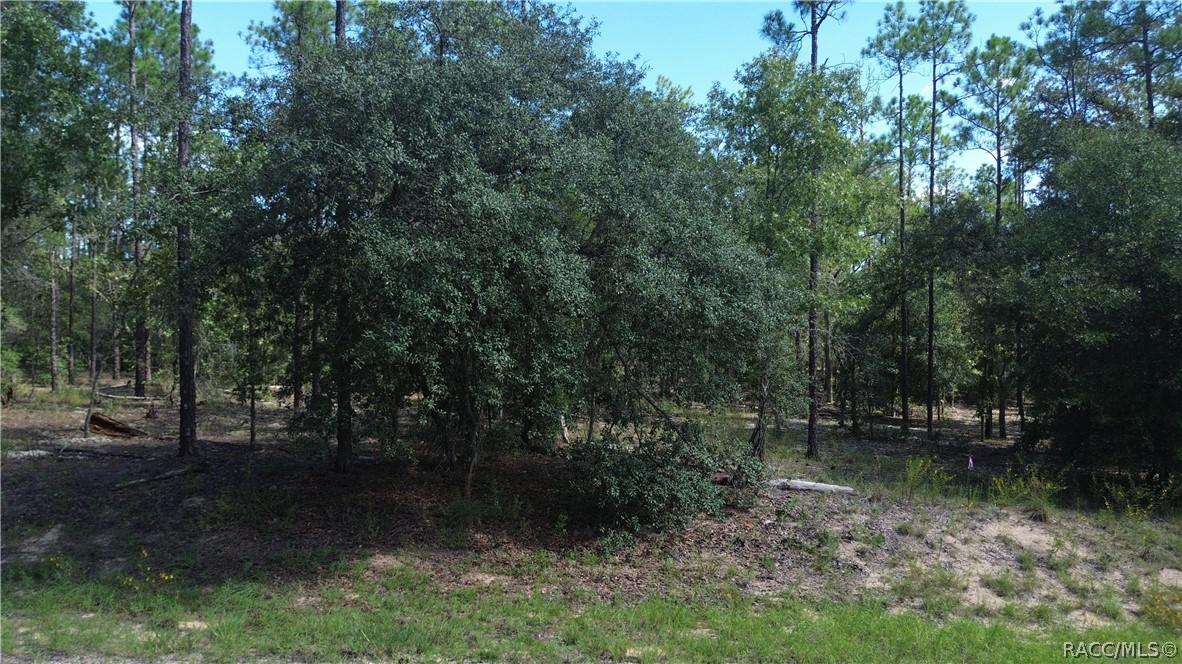 617 E Marquette Ln., Citrus Springs, FL 34434