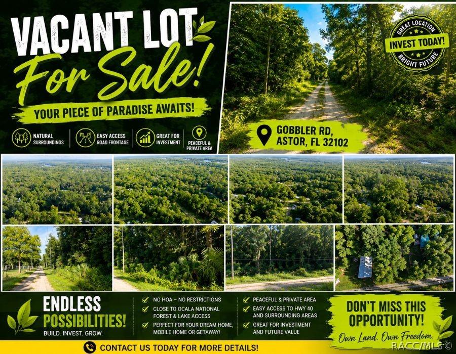 Gobbler Rd., Astor, FL 32102