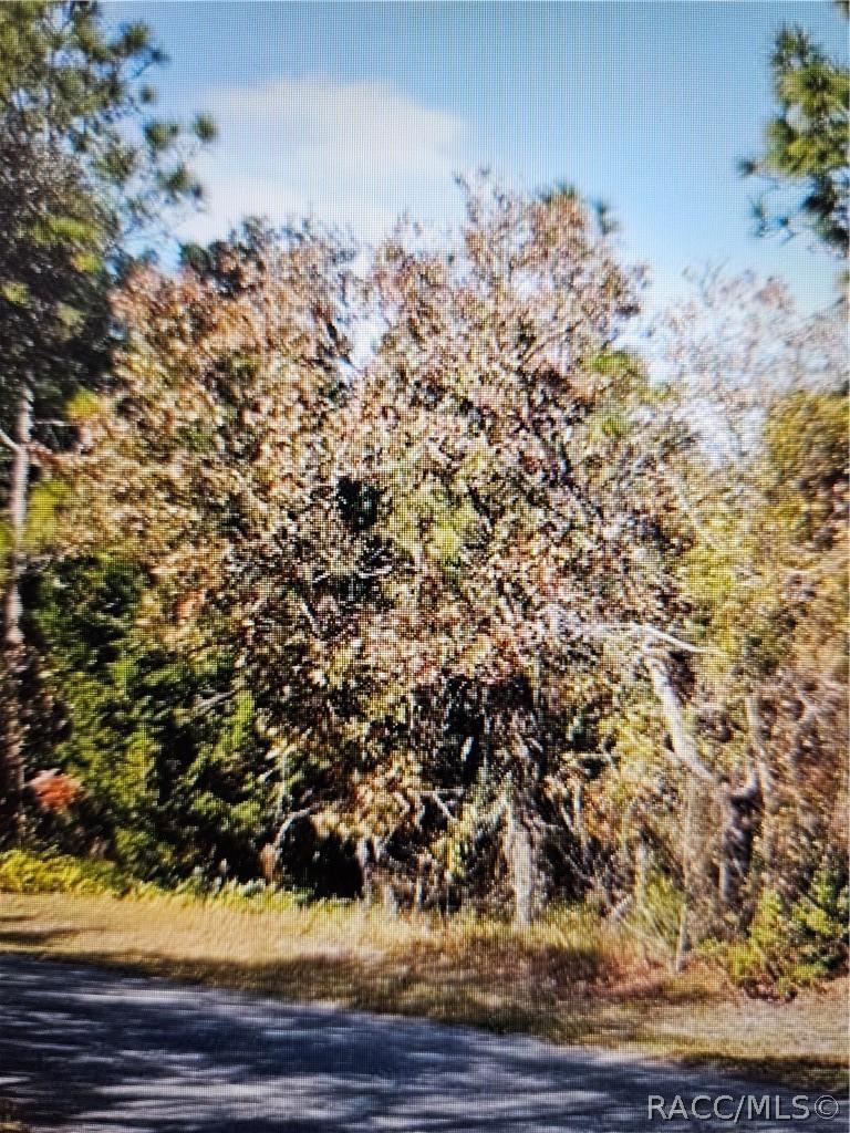 18 Longleaf Ct., Homosassa, FL 34446