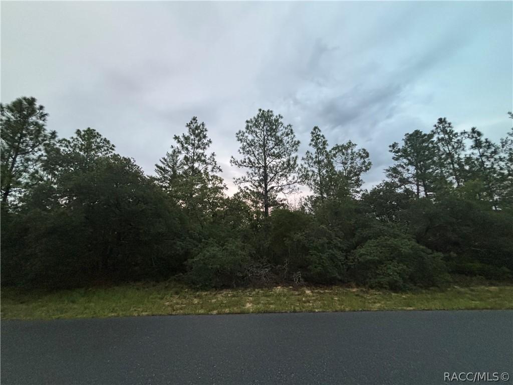4043 & 4049 W Abeline Dr., Dunnellon, FL 34433