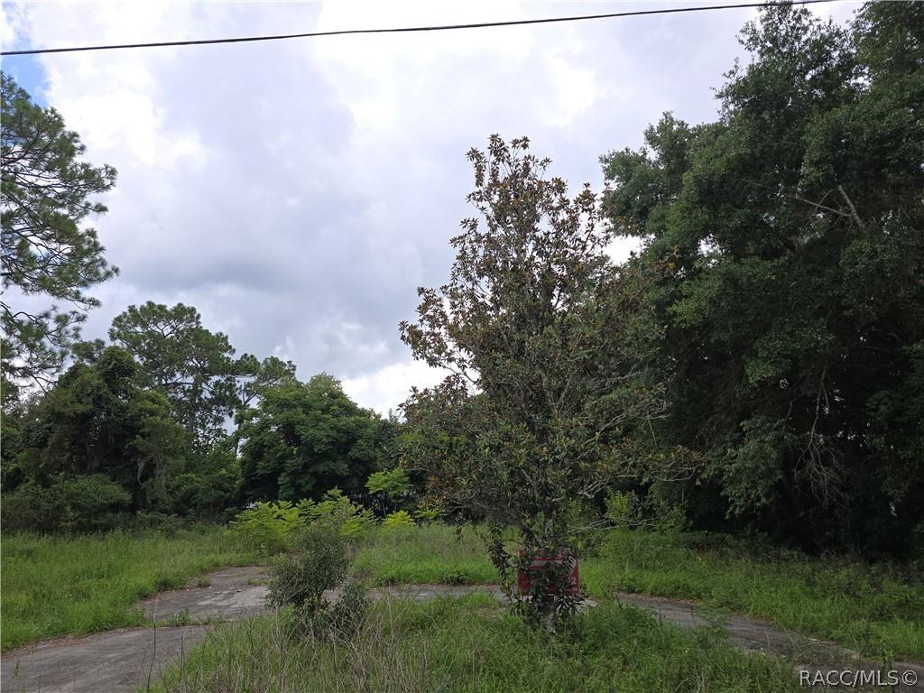 5910 W Pine Cir., Crystal River, FL 34429