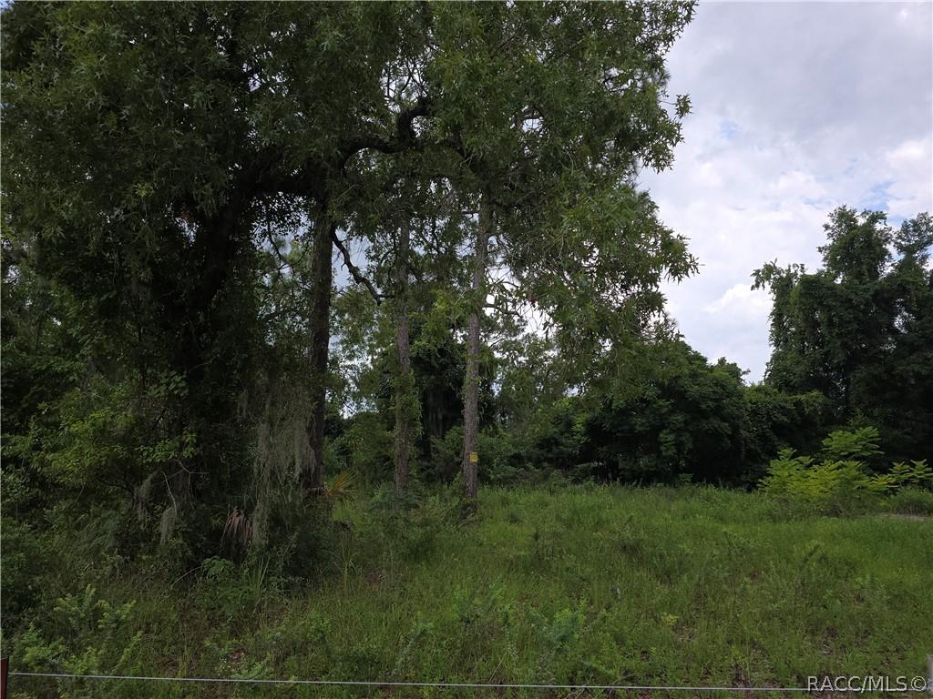 5896 W Pine Cir., Crystal River, FL 34429
