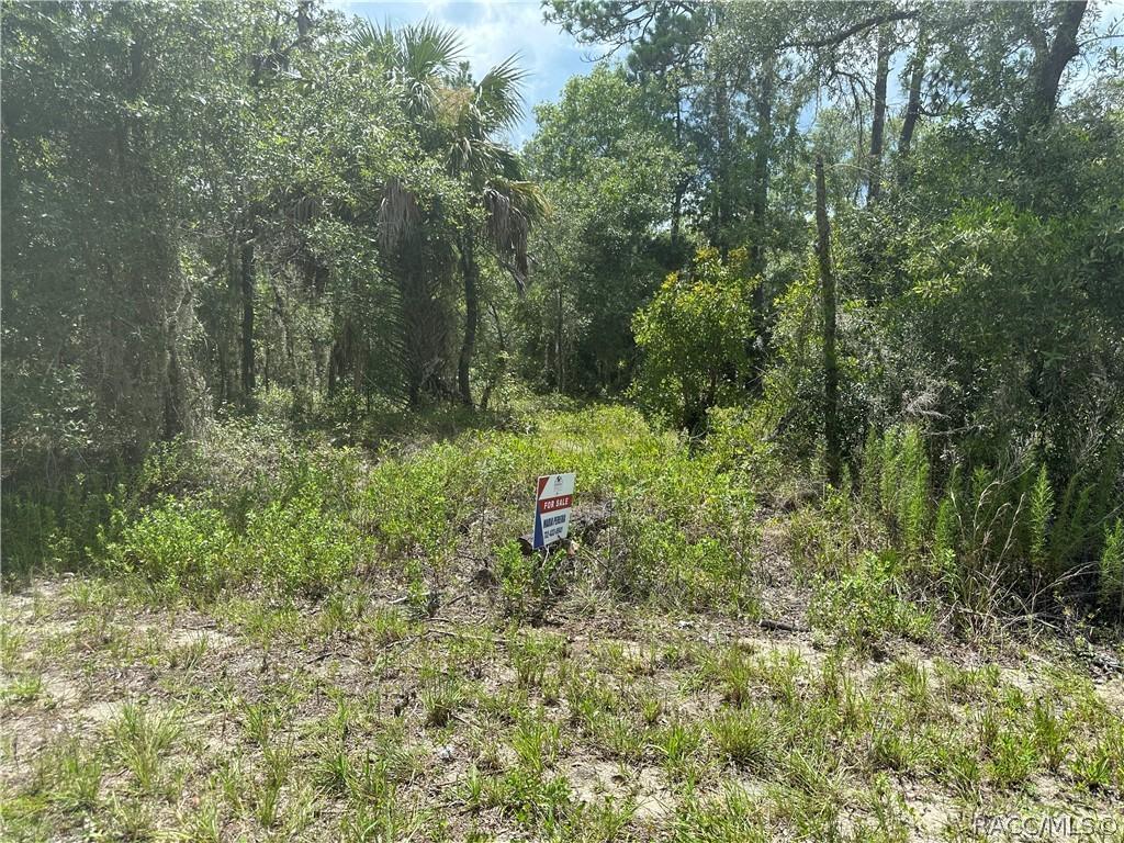 xx 125th Ct., Dunnellon, FL 34431