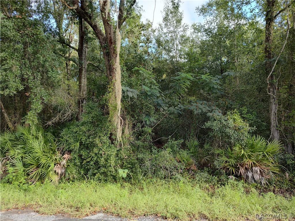 6869 W Van Buren Dr., Homosassa, FL 34448