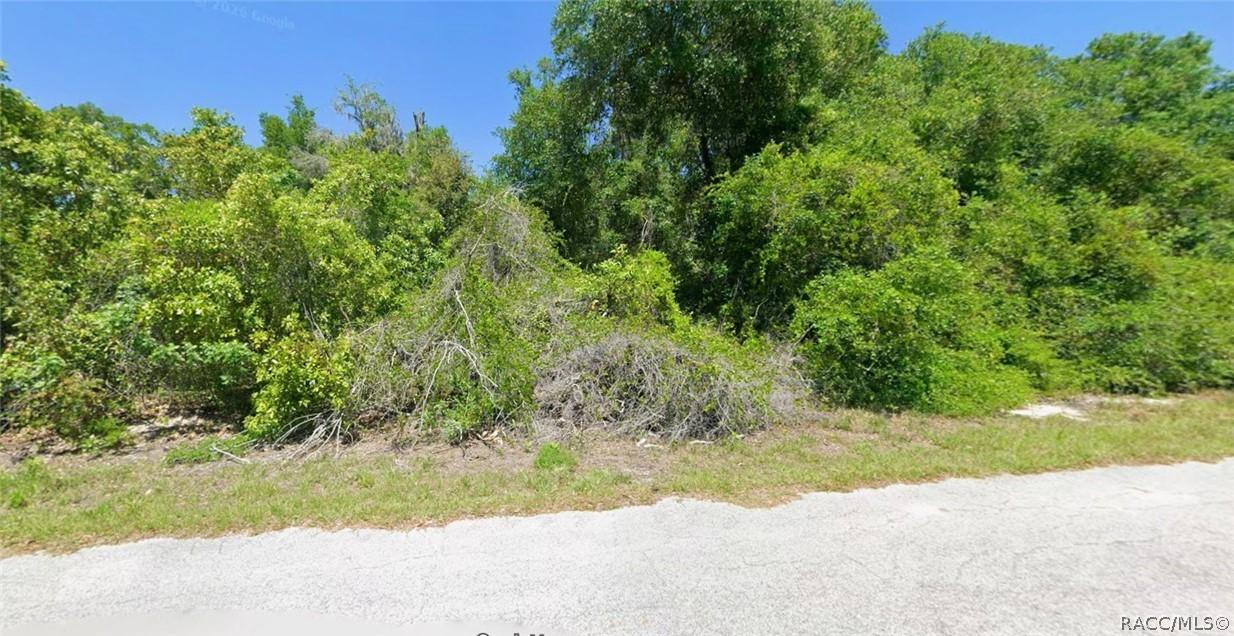 4363 E Wharf Ln., Hernando, FL 34442