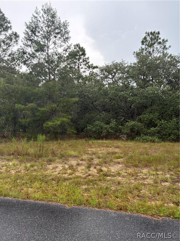 1001 W Bannister Dr., Citrus Springs, FL 34434
