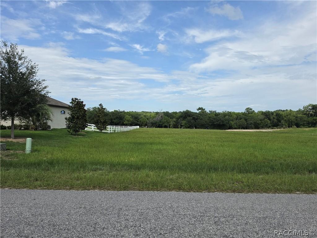 1359 N Spend A Buck Dr., Hernando, FL 34442