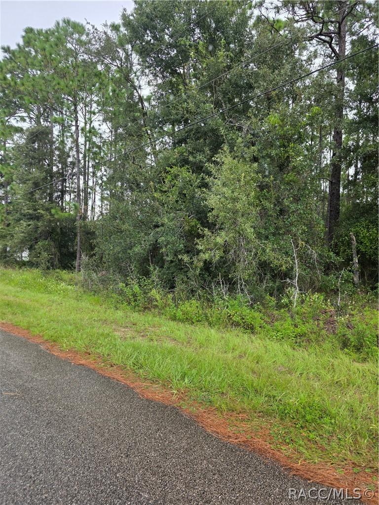 1299 W Tacoma St., Hernando, FL 34442
