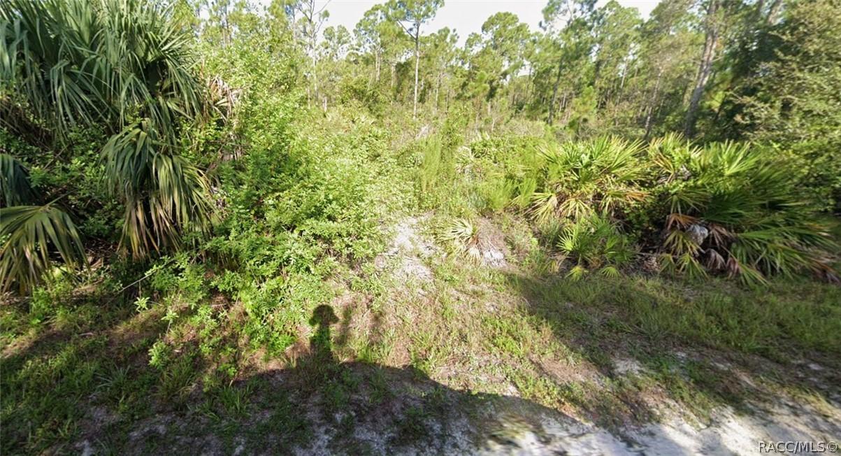 13353 Cappy Ter., Punta Gorda, FL 33955