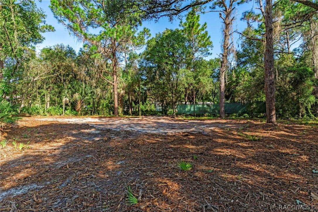 8181 W Tracy Ct., Homosassa, FL 34448