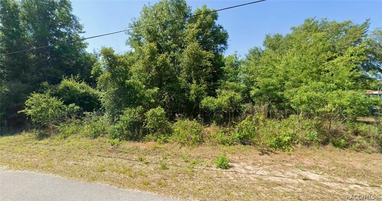 3984 E Allendale St., Inverness, FL 34453