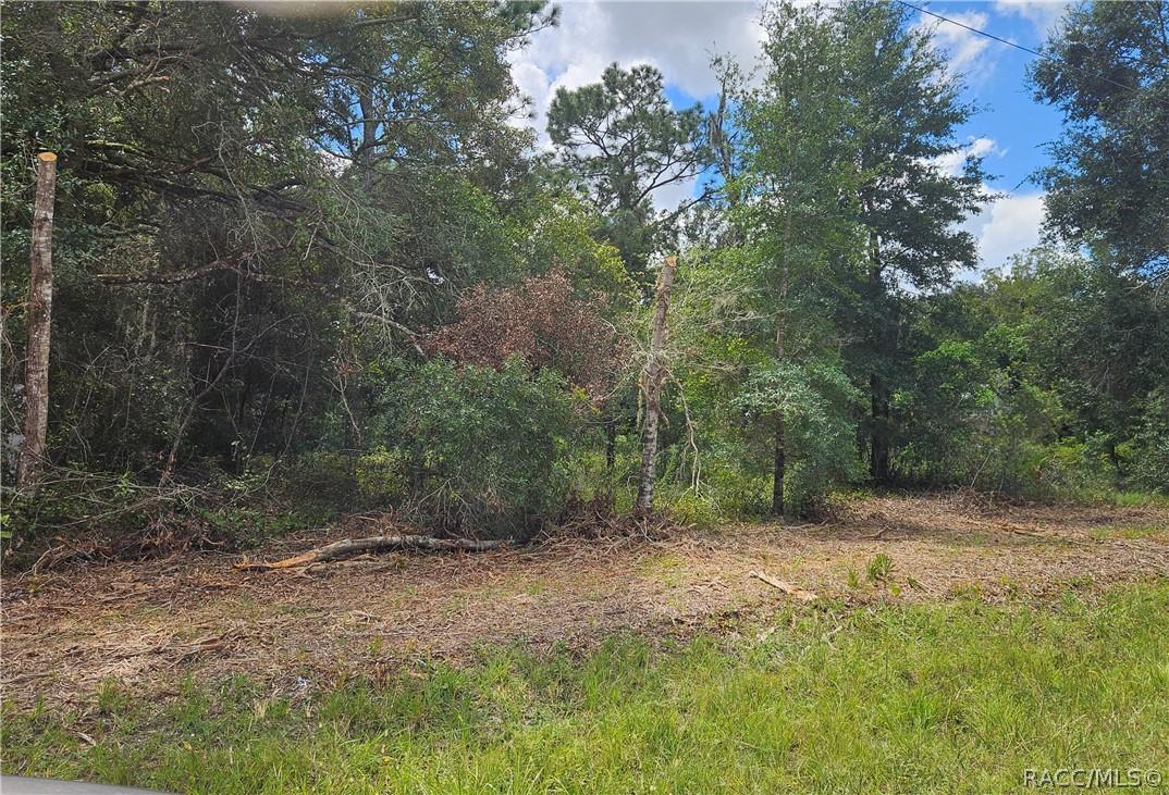 34030 Long Cir., Webster, FL 33597