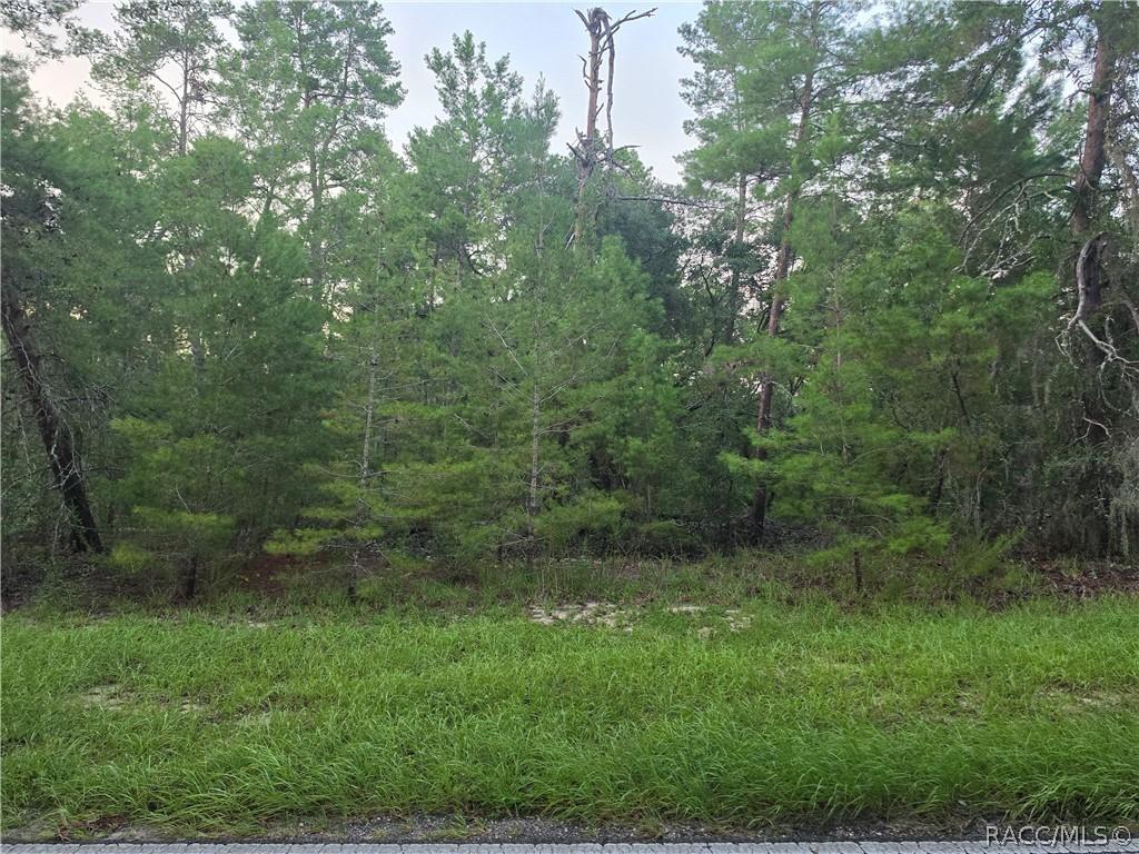 17 Oak Village Blvd., Homosassa, FL 34446
