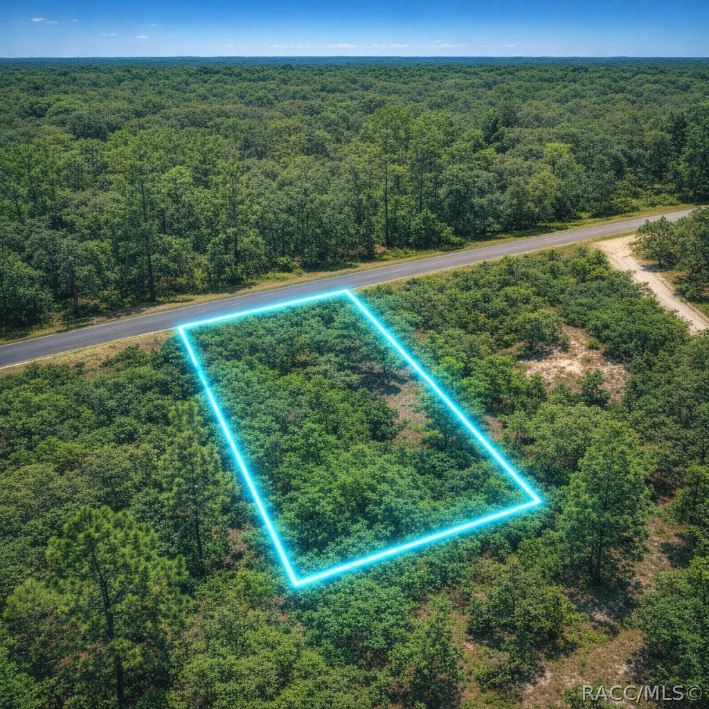 SE 133rd Ave Rainbow Lakes Est Ave., Dunnellon, FL 34431