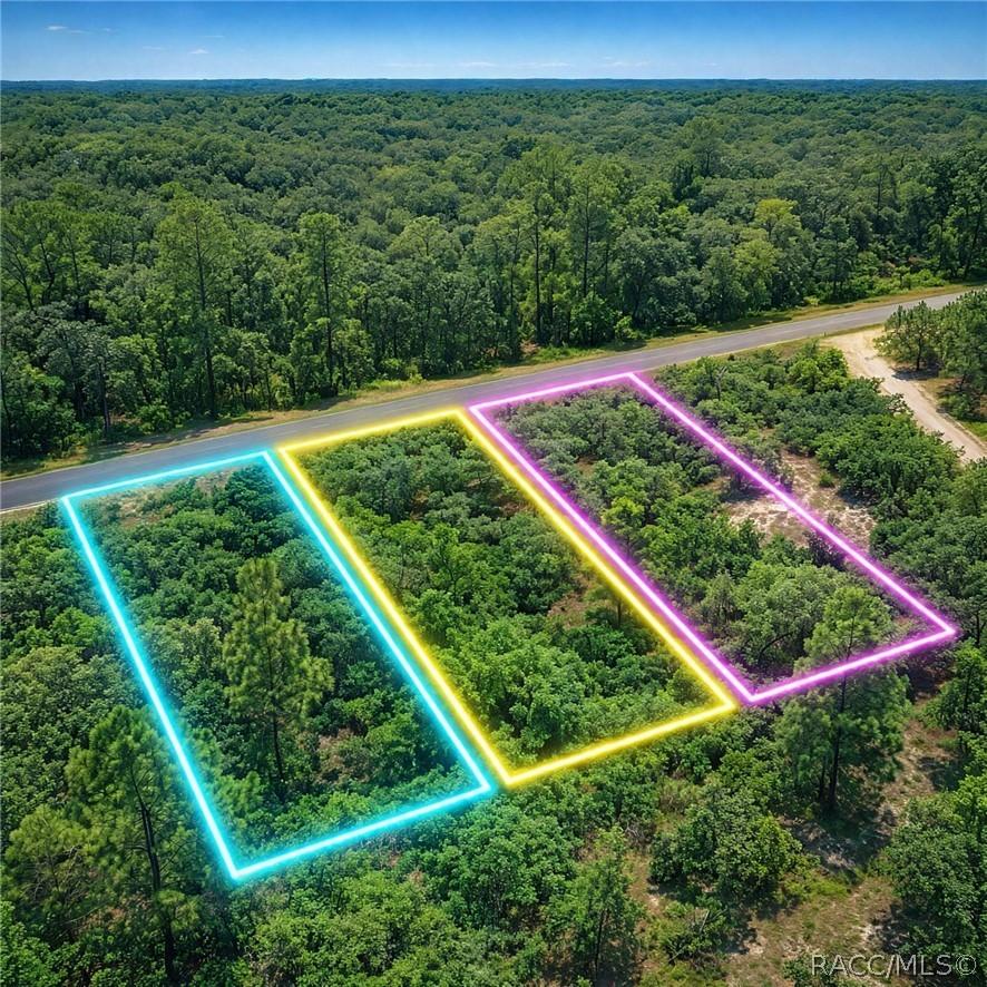 SE 134th Ct Rainbow Lakes Estate, Dunnellon, FL 34431