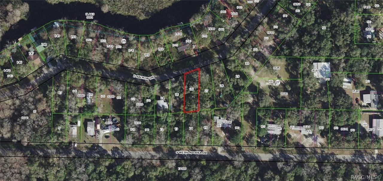 11400 E Salmon, Floral City, FL 34436
