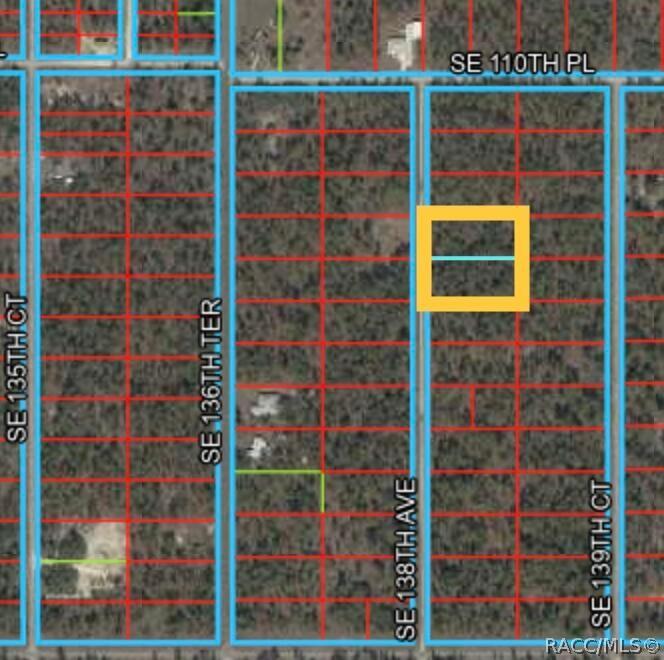 SE 138th Ave Rainbow Lakes Estates, Dunnellon, FL 34431