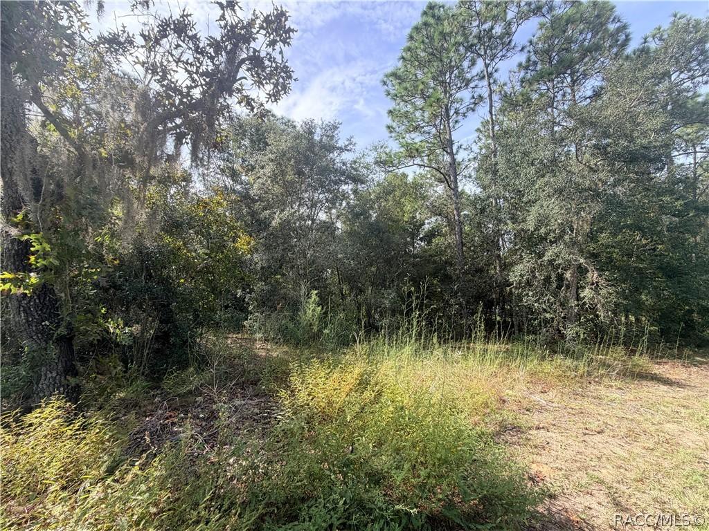 5066 E Anna Jo Dr., Inverness, FL 34452