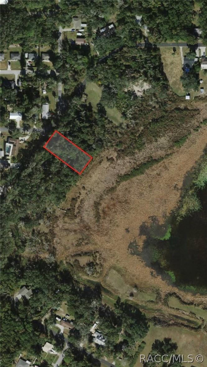 3301 E Lake Nina Dr., Inverness, FL 34453