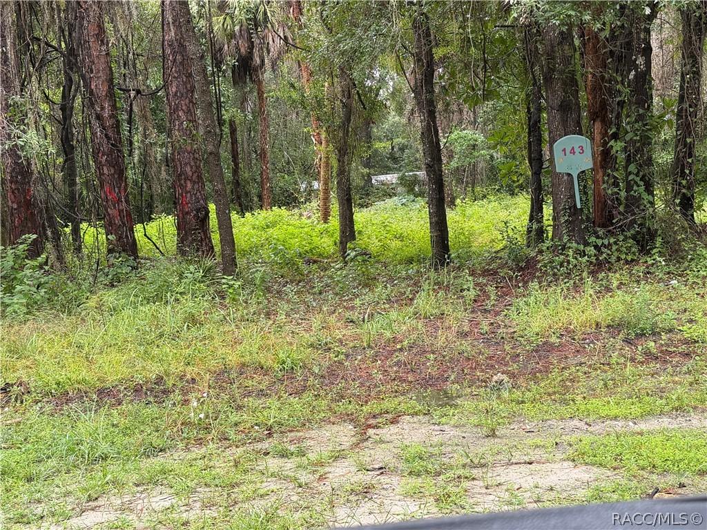 143 N Schoolcraft Dr., Inglis, FL 34449