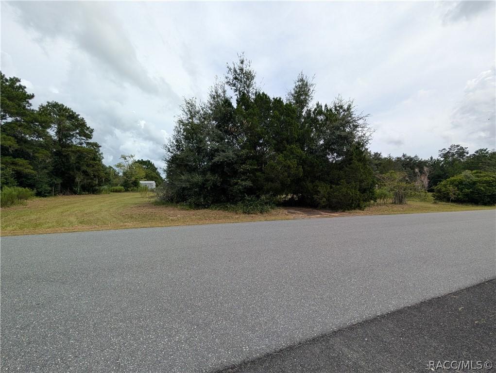 10133 S Appaloosa Ave., Floral City, FL 34436