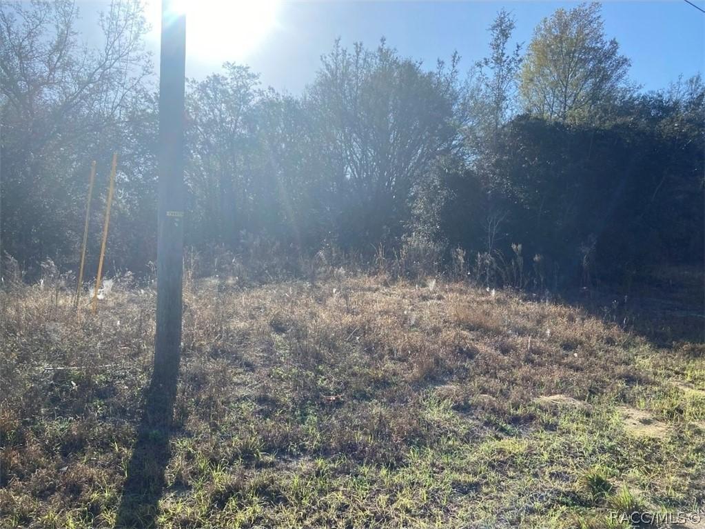 8015 E Garner Ln., Floral City, FL 34436