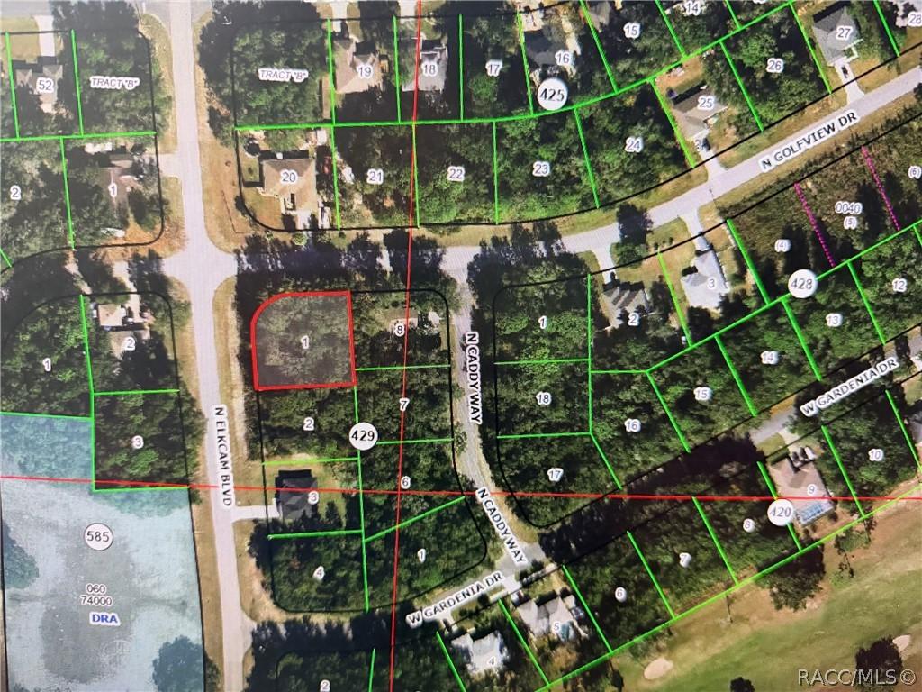 9198 N Golfview Dr., Citrus Springs, FL 34434