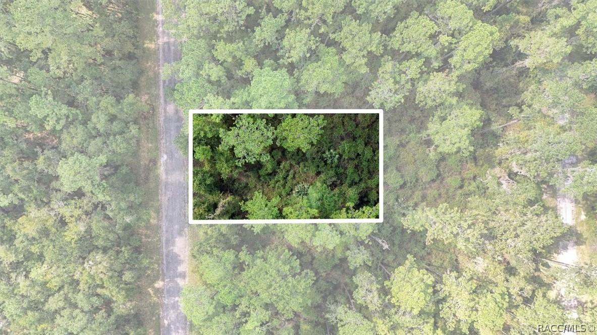 1043 E Toledo Dr., Citrus Springs, FL 34434