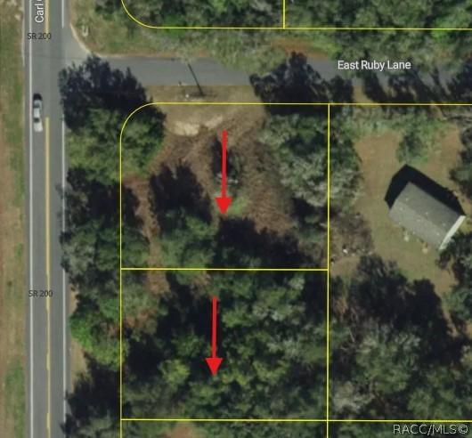 5119 5125 N Carl G Rose Hwy., Hernando, FL 34442