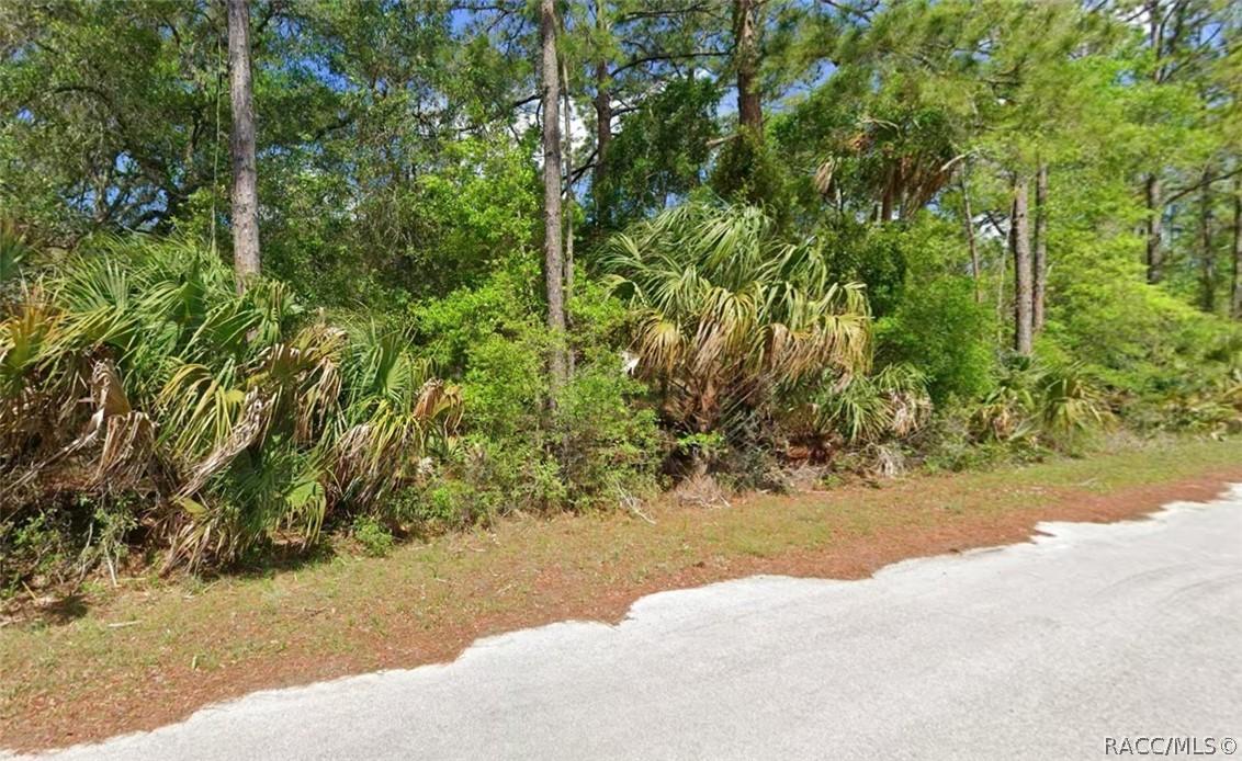 9218 N Bromeliad Ter., Crystal River, FL 34428