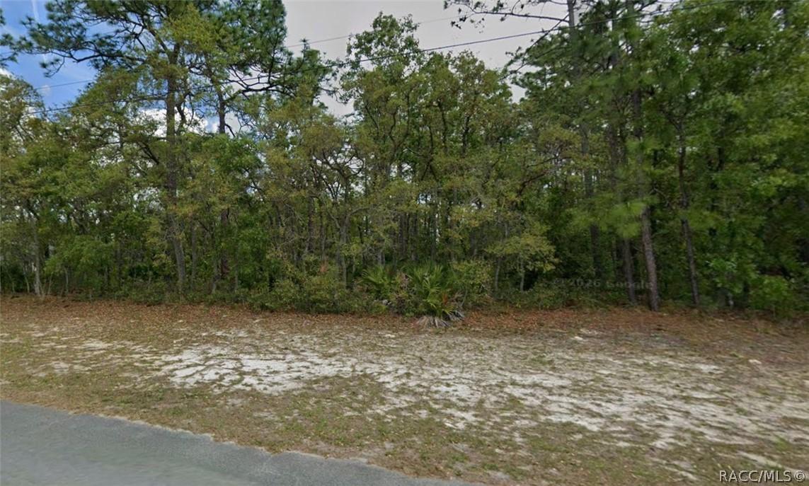 2025 W Tall Oaks Dr., Beverly Hills, FL 34465