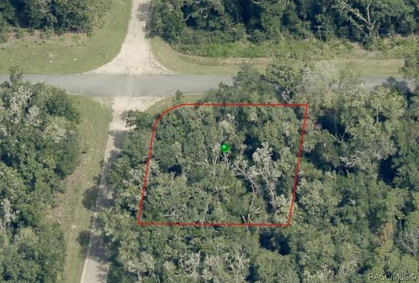 28 W Lynx Dr., Citrus Springs, FL 34434