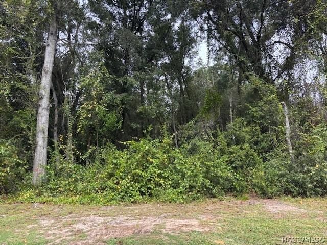 5727 W Meadowpark Ln., Crystal River, FL 34429