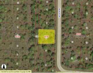 Bluejay, Rotonda Meadows, FL 33947