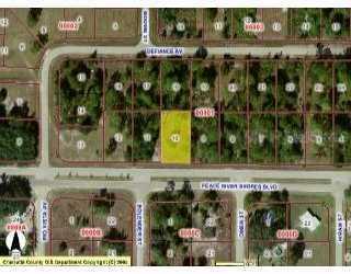 29190 Peace River Shores Blvd., Punta Gorda, FL 33982