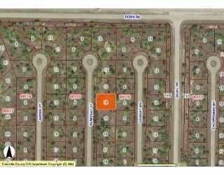 Kumquat, Rotonda Meadows, FL 33981