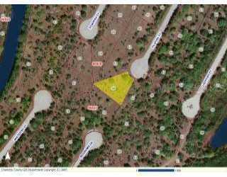 File Fish, Rotonda West, FL 33947