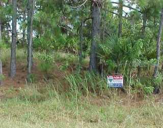 7502 Cohen St., Port Charlotte, FL 33981