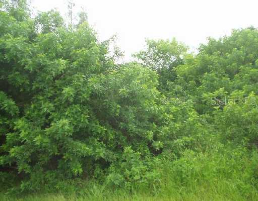 5212 Early Ter., Port Charlotte, FL 33981