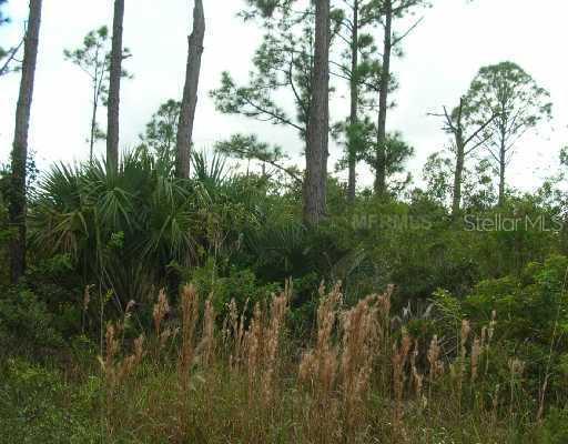 29493 Maris Dr., Punta Gorda, FL 33982