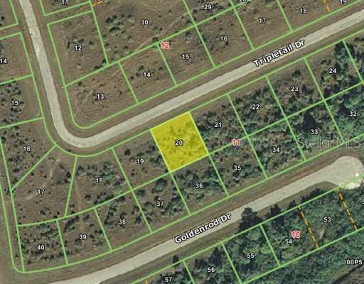 12393 Tripletail  (lot 20) Dr., Placida, FL 33946