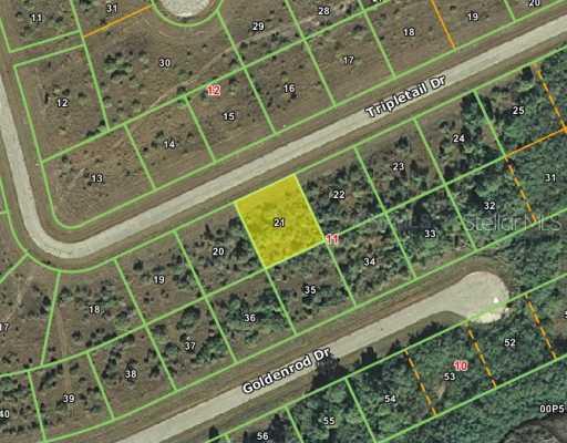 12403 Tripletail (lot 21) Dr., Placida, FL 33946