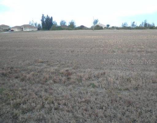 2343 NW 38th Ave., Cape Coral, FL 33993