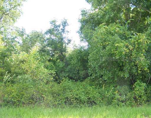 10017 Cocoa Beach St., Port Charlotte, FL 33981