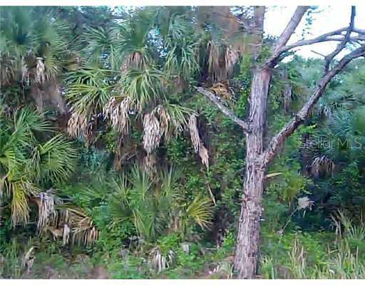Johannesberg Rd., North Port, FL 34288